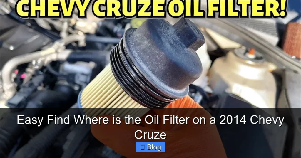 Easy Find Where is the Oil Filter on a 2014 Chevy Cruze