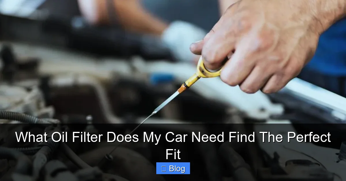 What Oil Filter Does My Car Need Find The Perfect Fit