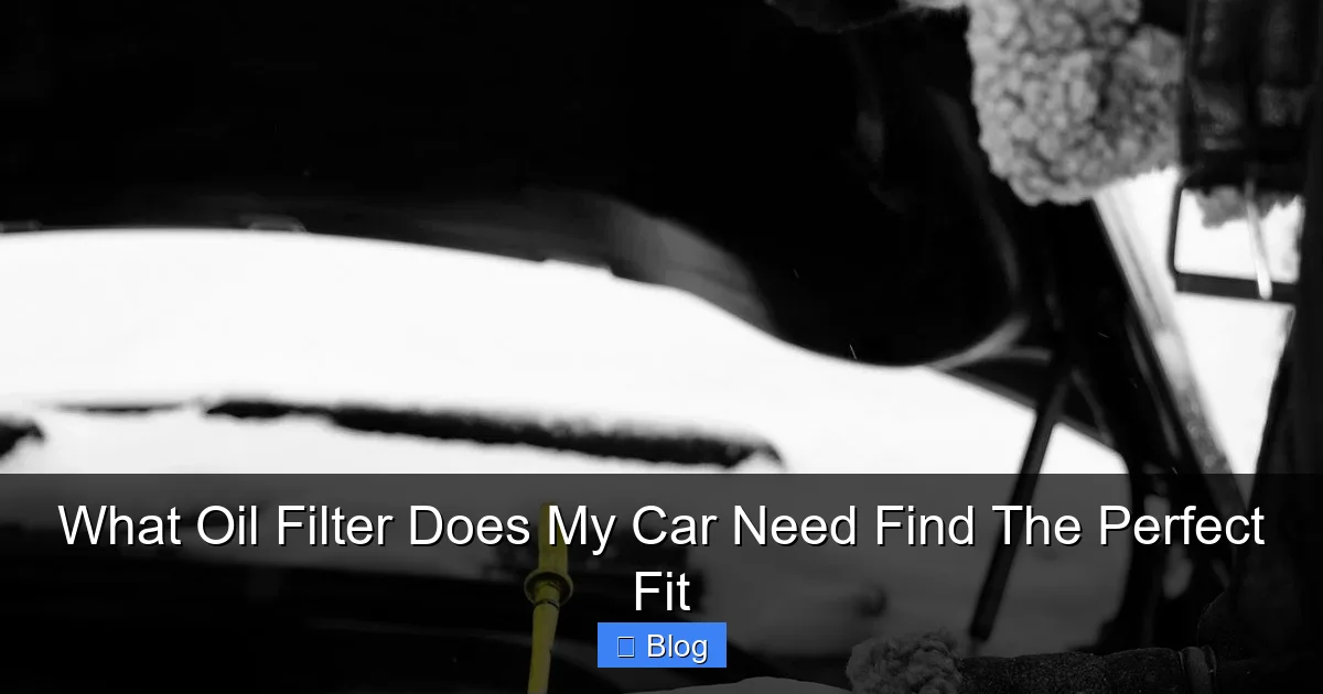 What Oil Filter Does My Car Need Find The Perfect Fit
