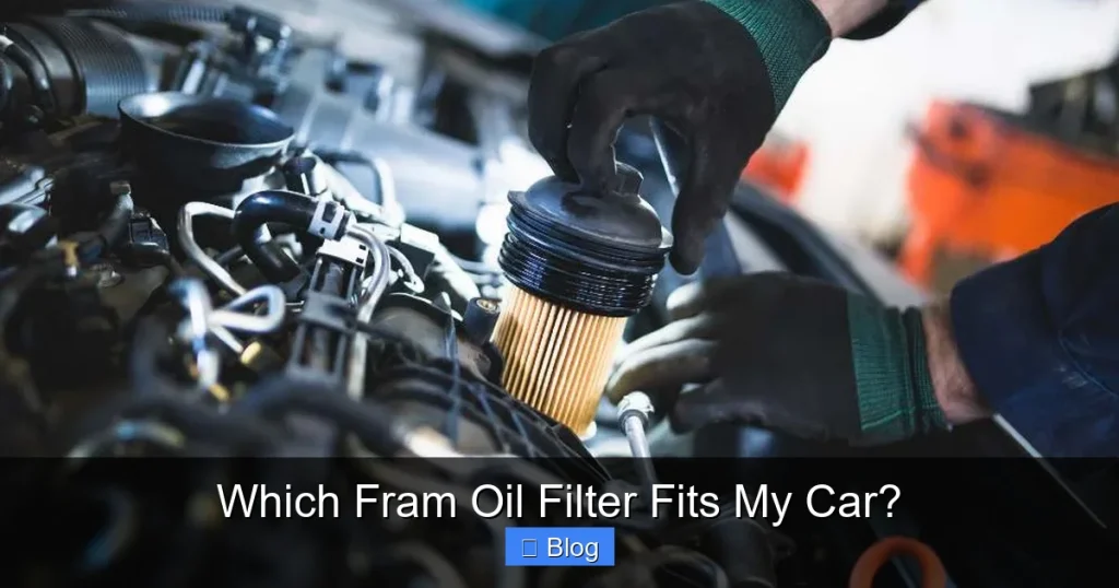 Which Fram Oil Filter Fits My Car?