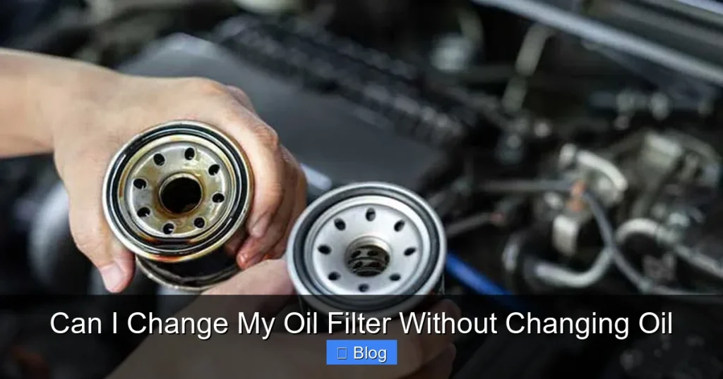 Can I Change My Oil Filter Without Changing Oil