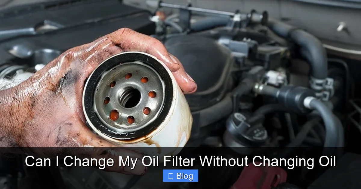 Can I Change My Oil Filter Without Changing Oil