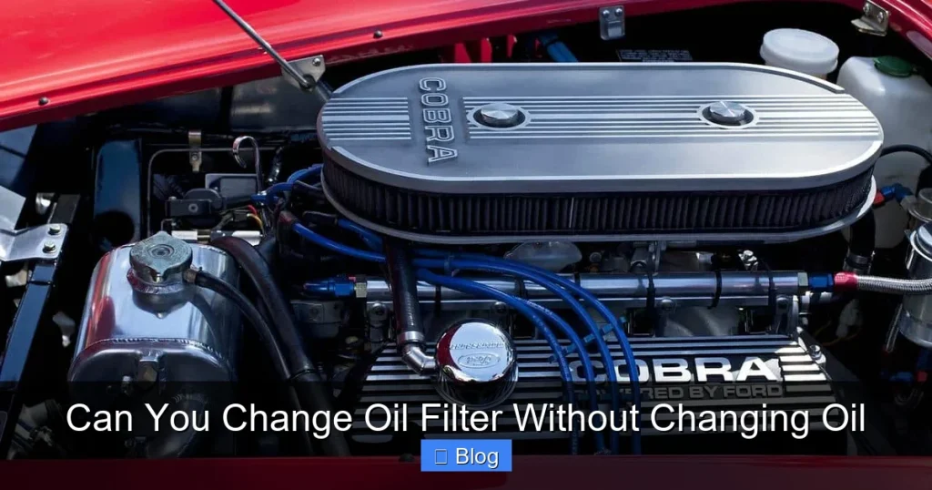 Can You Change Oil Filter Without Changing Oil