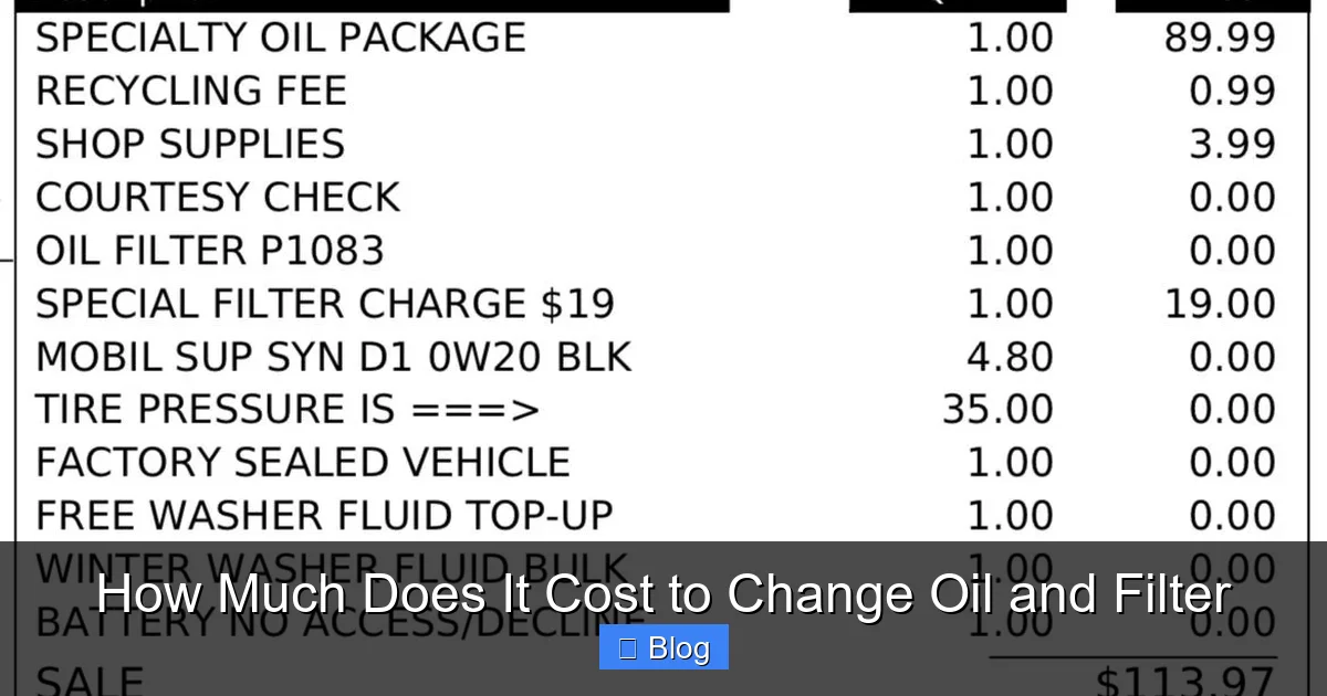 How Much Does It Cost to Change Oil and Filter