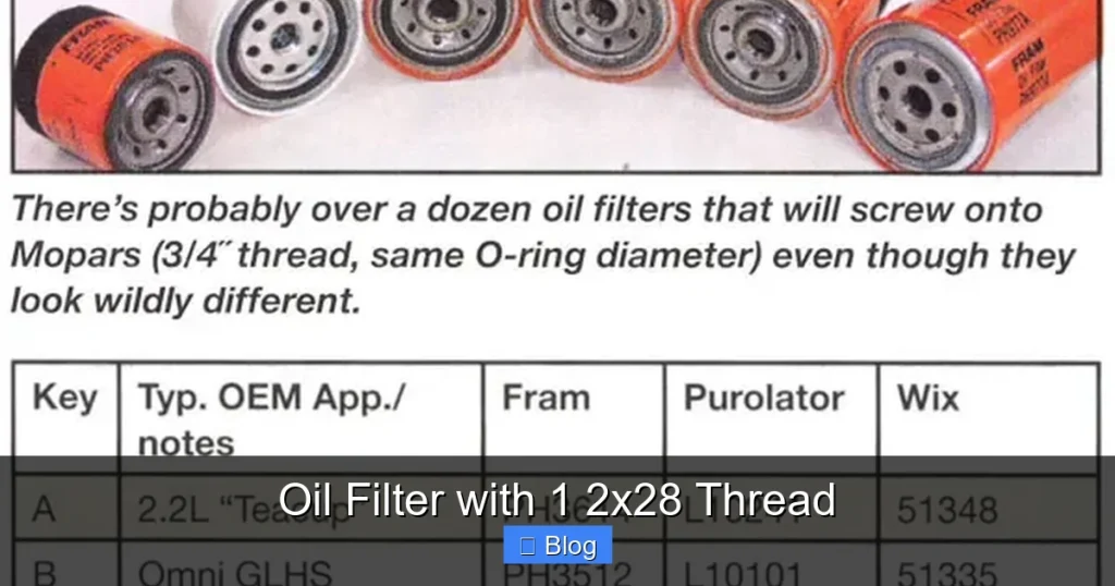 Oil Filter with 1 2x28 Thread