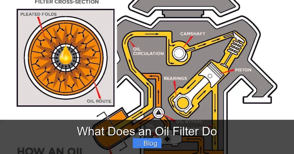 What Does an Oil Filter Do