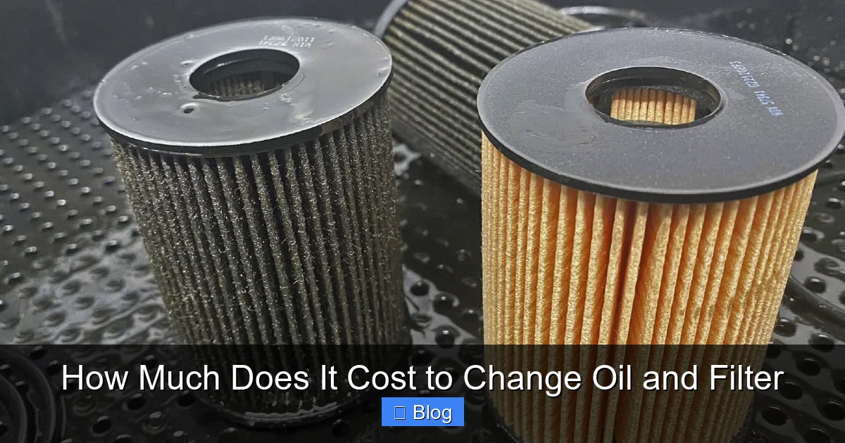 How Much Does It Cost to Change Oil and Filter