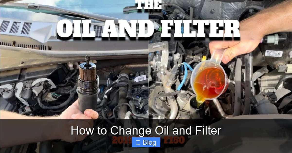 How to Change Oil and Filter? Expert Guide