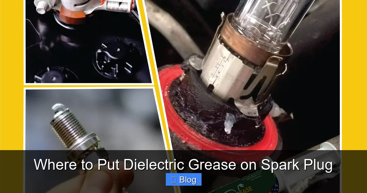 Where to Put Dielectric Grease on Spark Plug