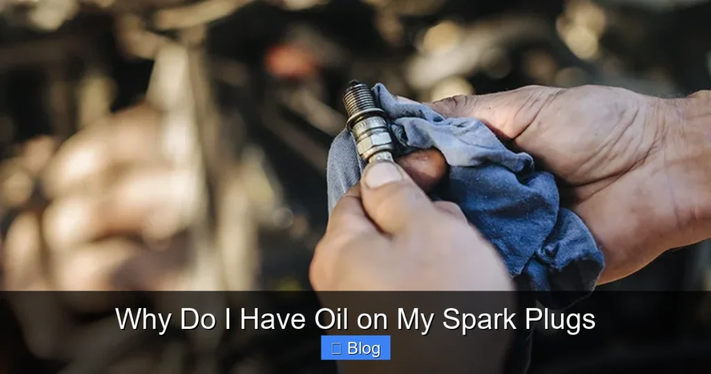 Why Do I Have Oil on My Spark Plugs