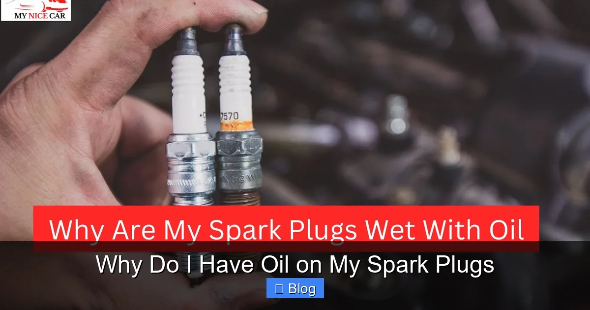 Why Do I Have Oil on My Spark Plugs
