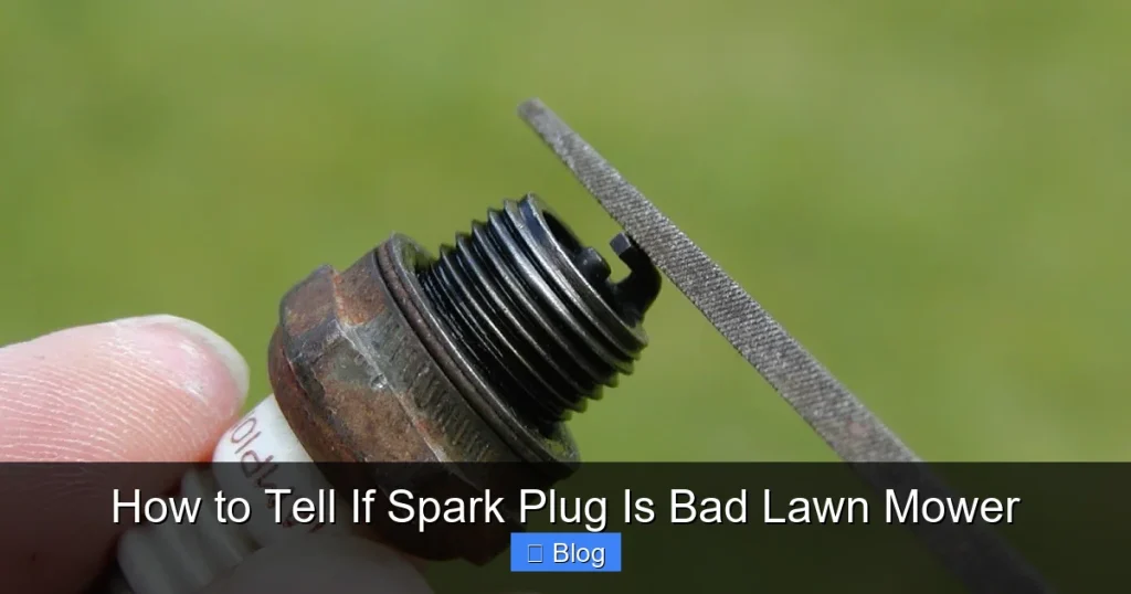 How to Tell If Spark Plug Is Bad Lawn Mower