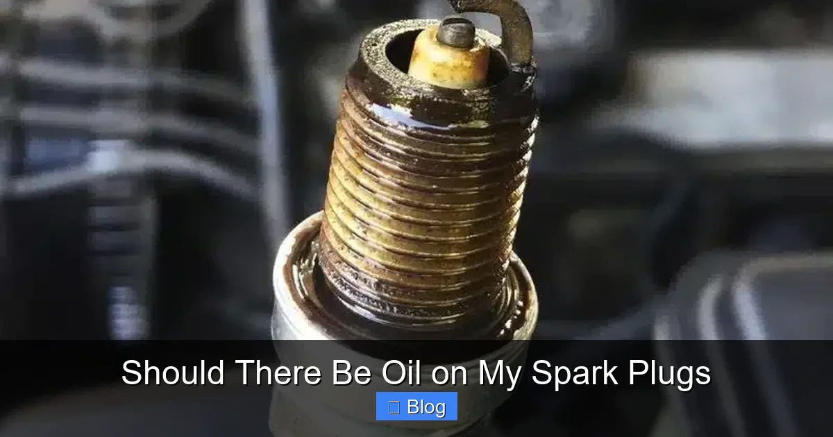 Should There Be Oil on My Spark Plugs