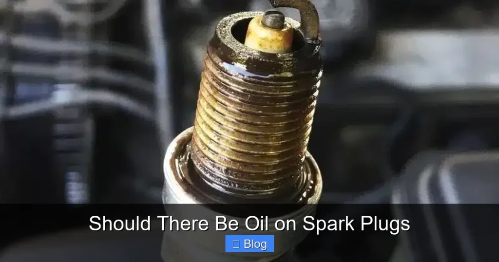 Should There Be Oil on Spark Plugs