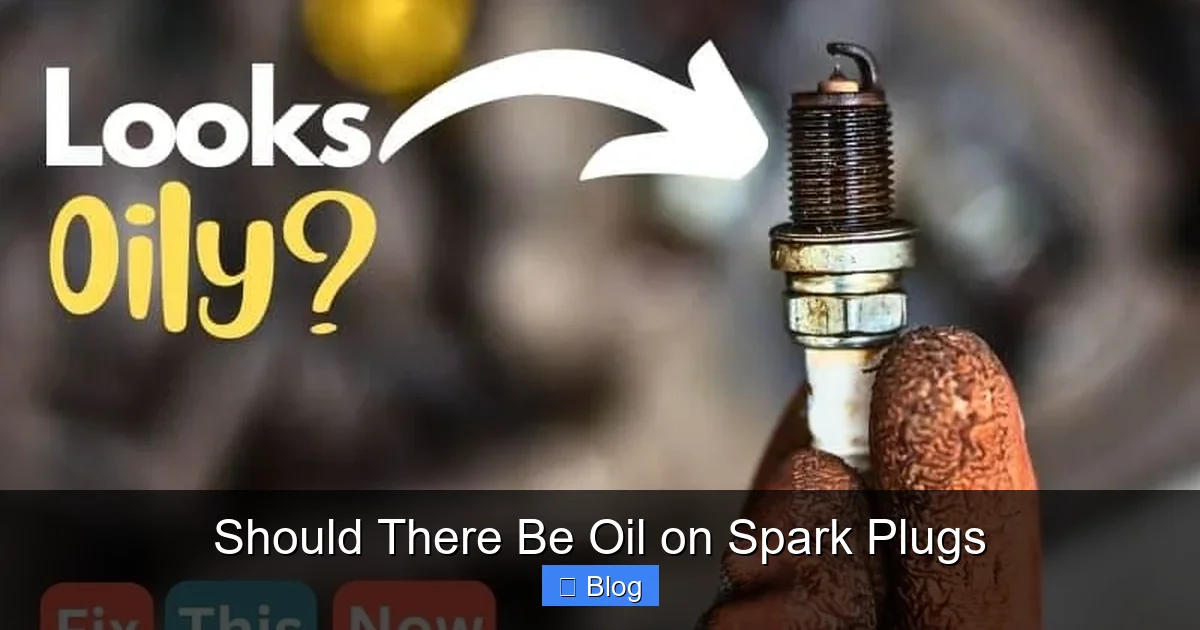Should There Be Oil on Spark Plugs