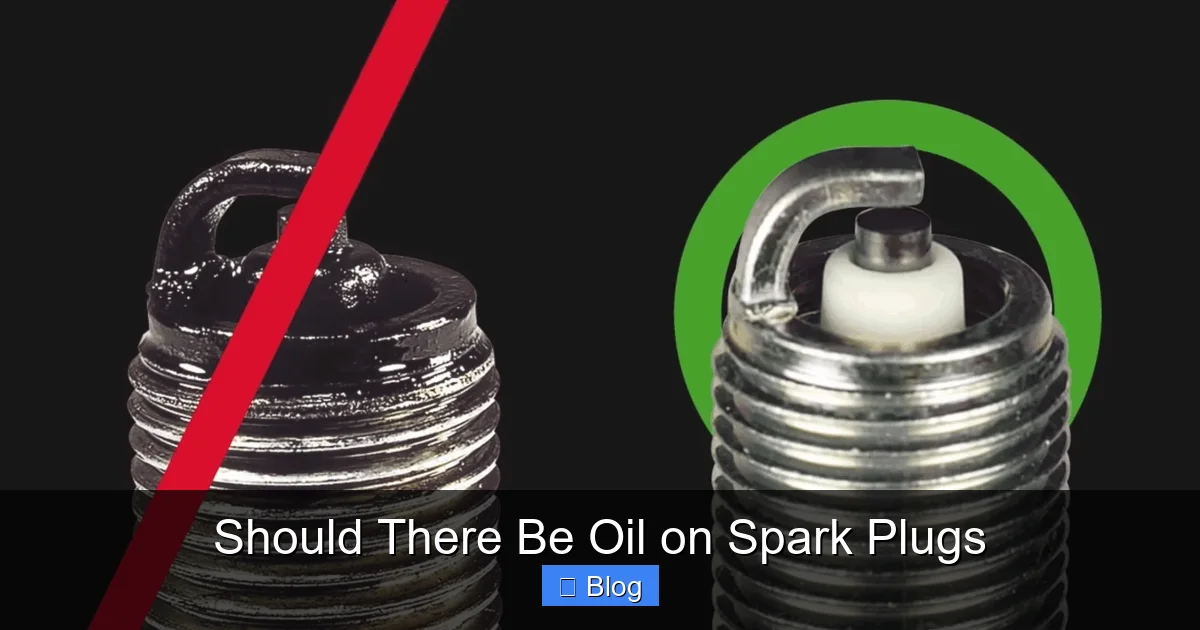 Should There Be Oil on Spark Plugs