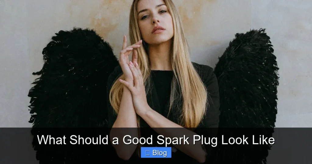 What Should a Good Spark Plug Look Like