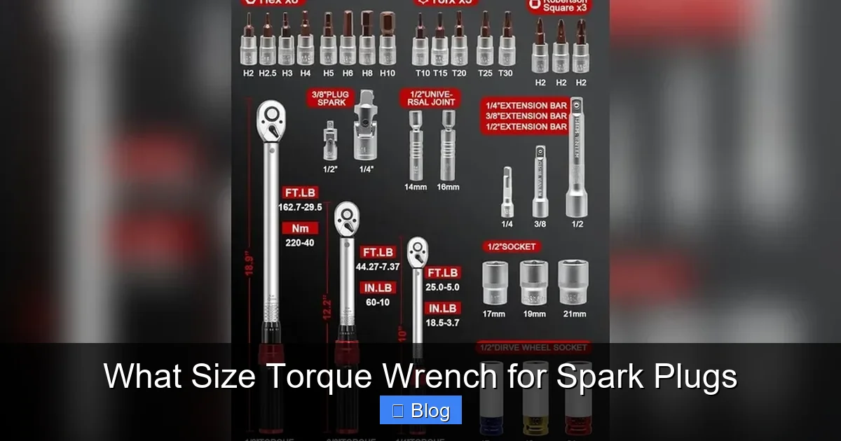 What Size Torque Wrench for Spark Plugs