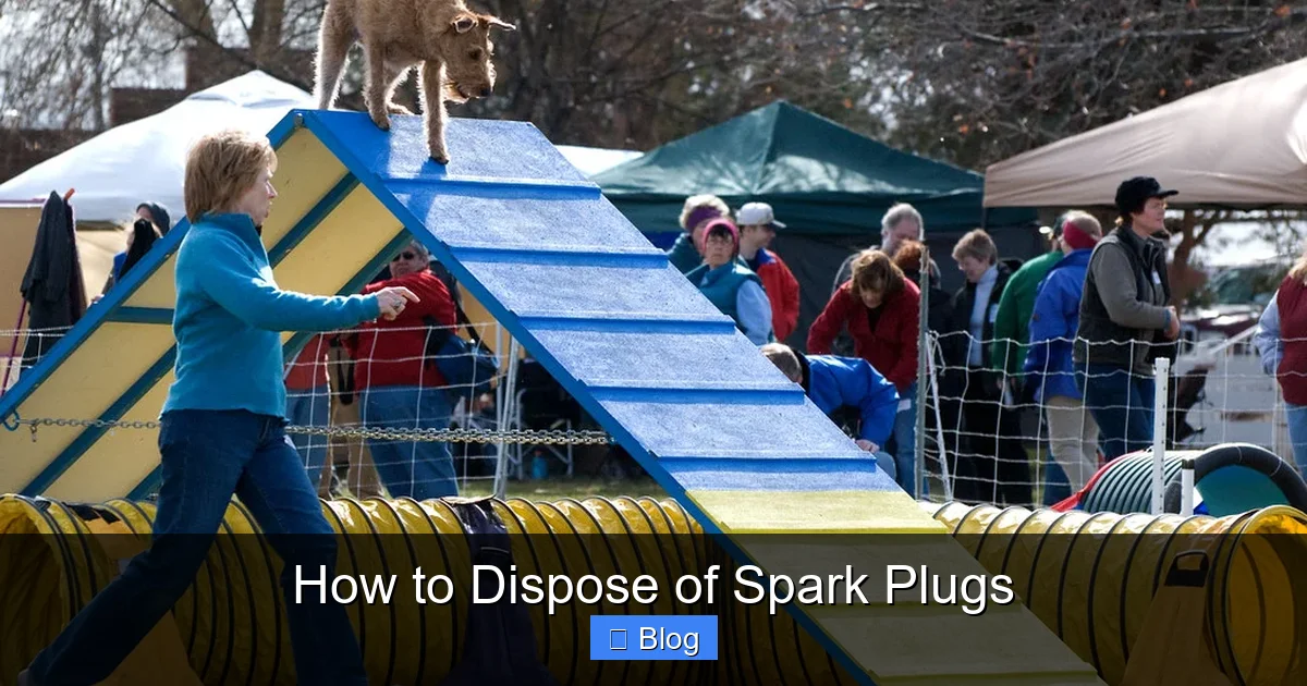 How to Dispose of Spark Plugs