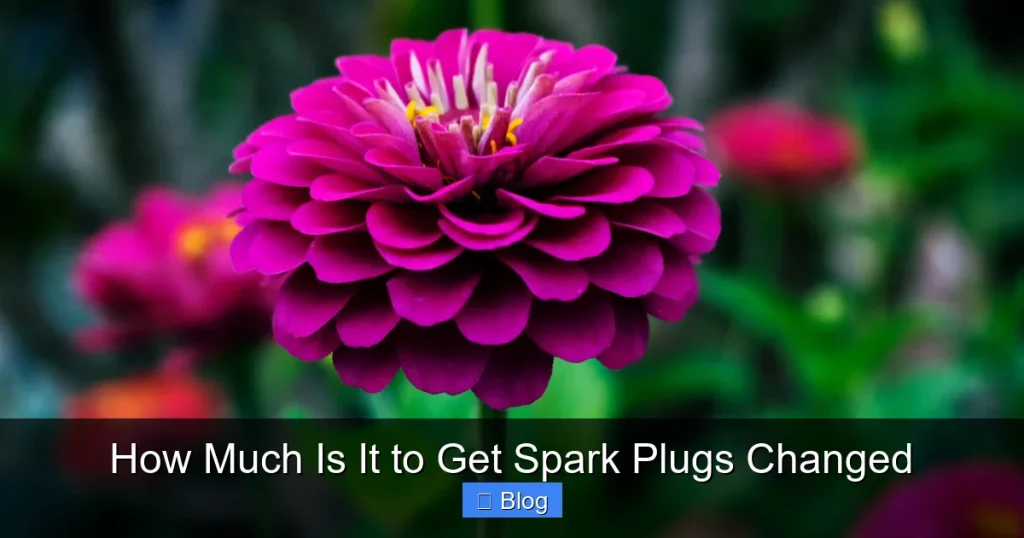 How Much Is It to Get Spark Plugs Changed