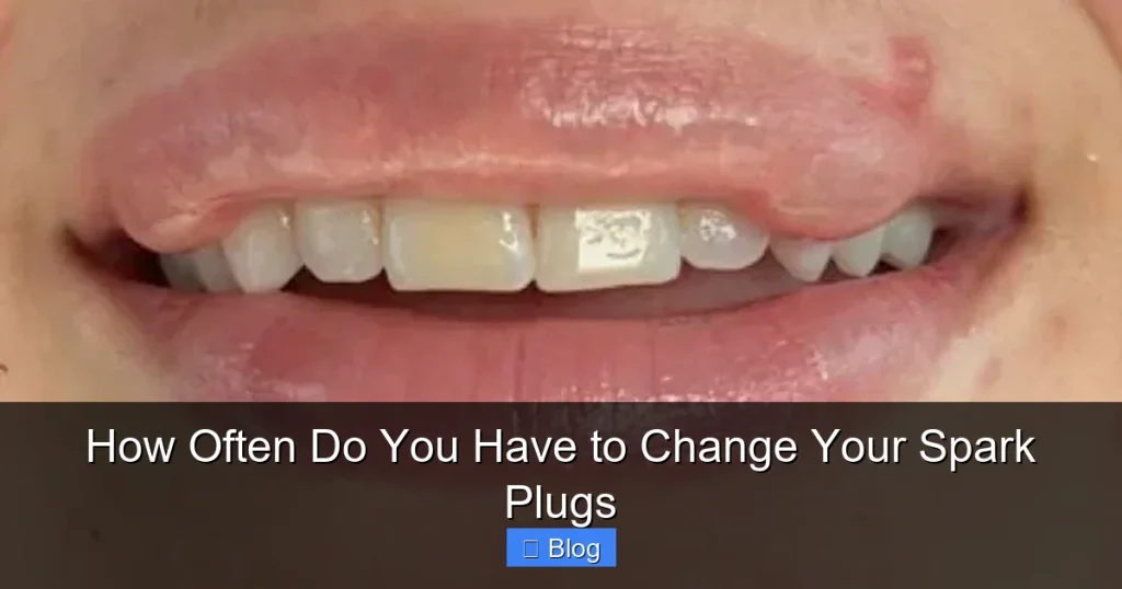 How Often Do You Have to Change Your Spark Plugs