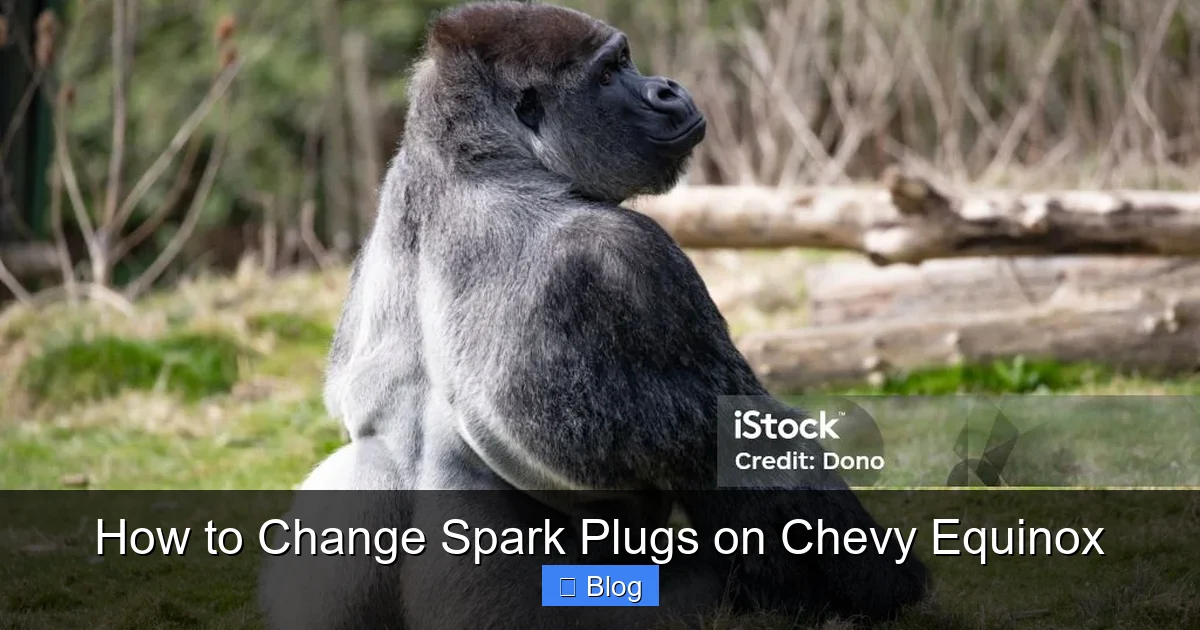 How to Change Spark Plugs on Chevy Equinox