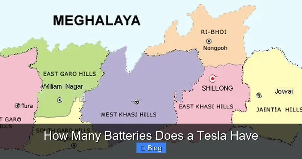 How Many Batteries Does a Tesla Have