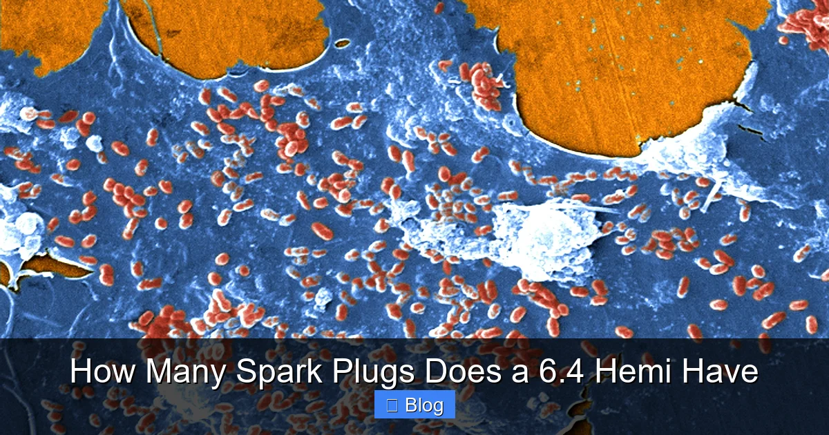 How Many Spark Plugs Does a 6.4 Hemi Have
