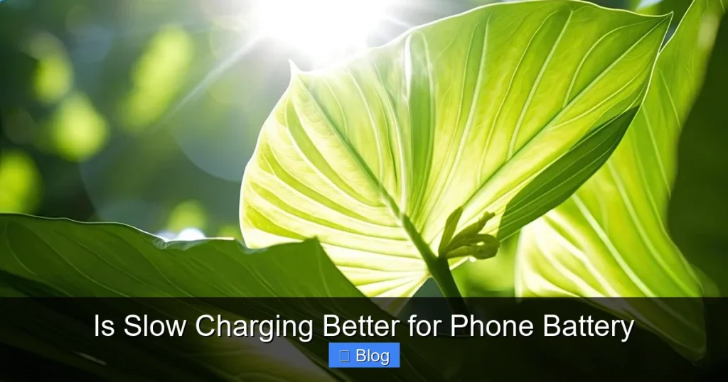 Is Slow Charging Better for Phone Battery