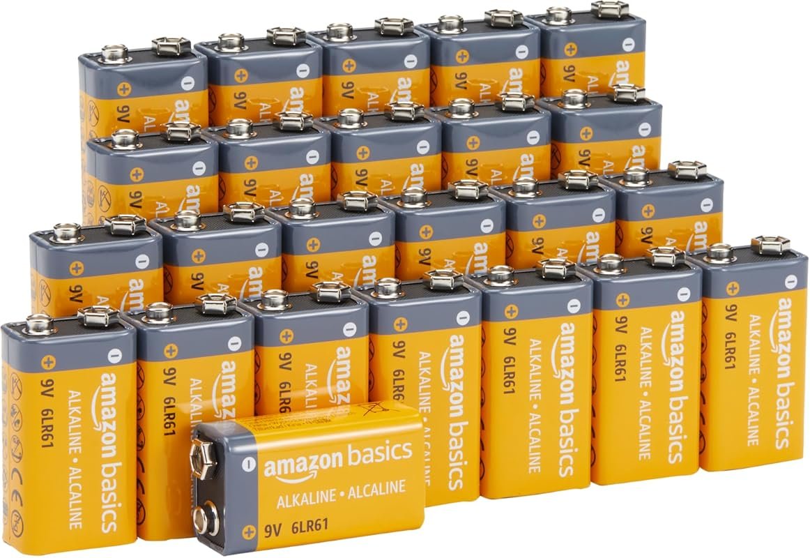 Amazon Basics 24-Pack 9V Alkaline Batteries