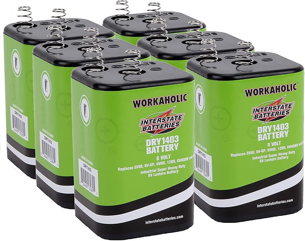 Interstate Batteries 6V Heavy Duty Lantern Battery 6-Pack with Spring 