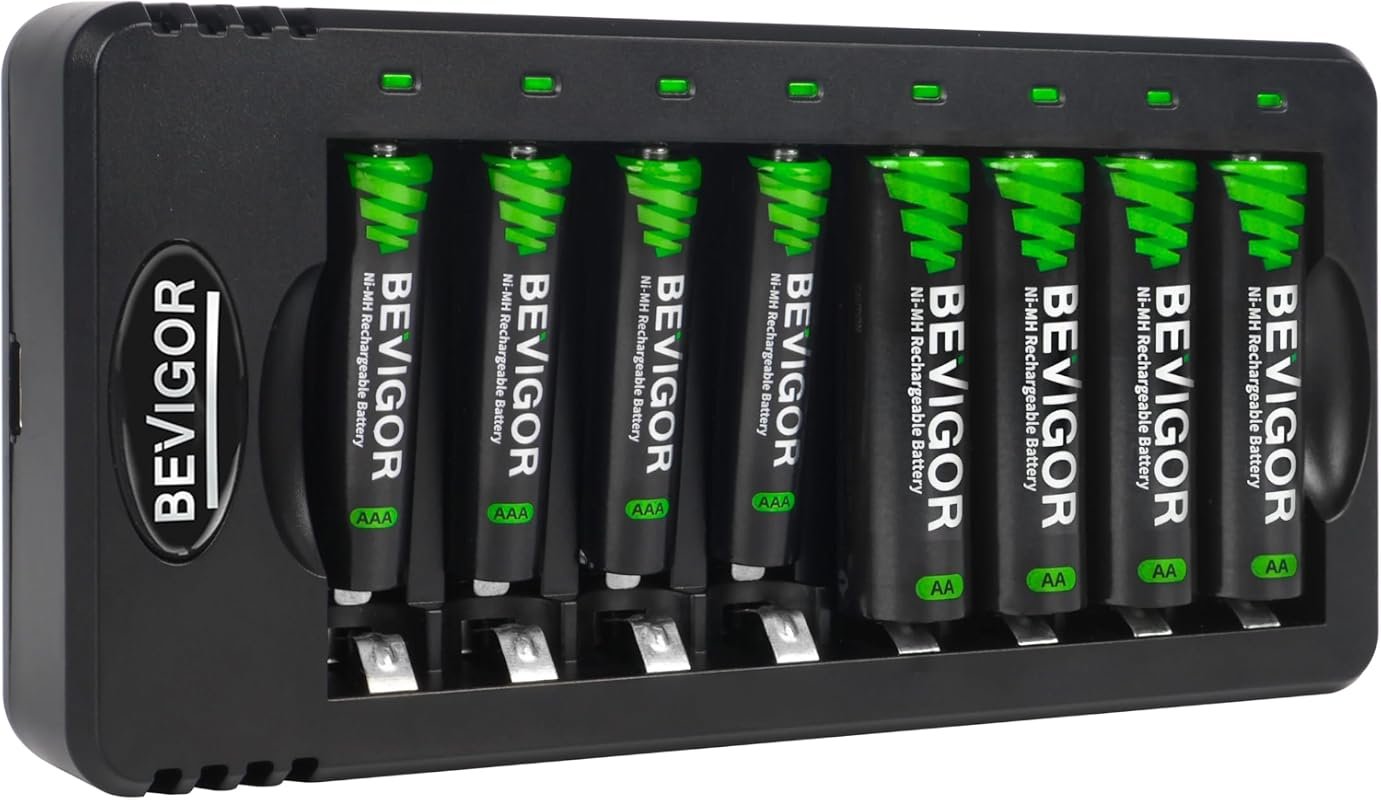 BEVIGOR 8-Bay AA AAA Battery Kit
