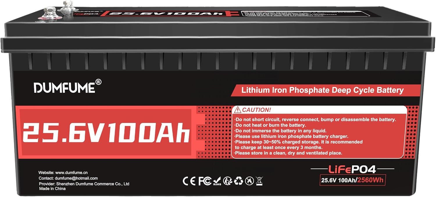 24V 100Ah LiFePO4 Battery with 100A BMS, Low Temp Protection, for RV,