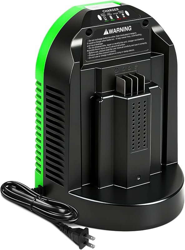 Aoasur EGO 56V Battery Charger