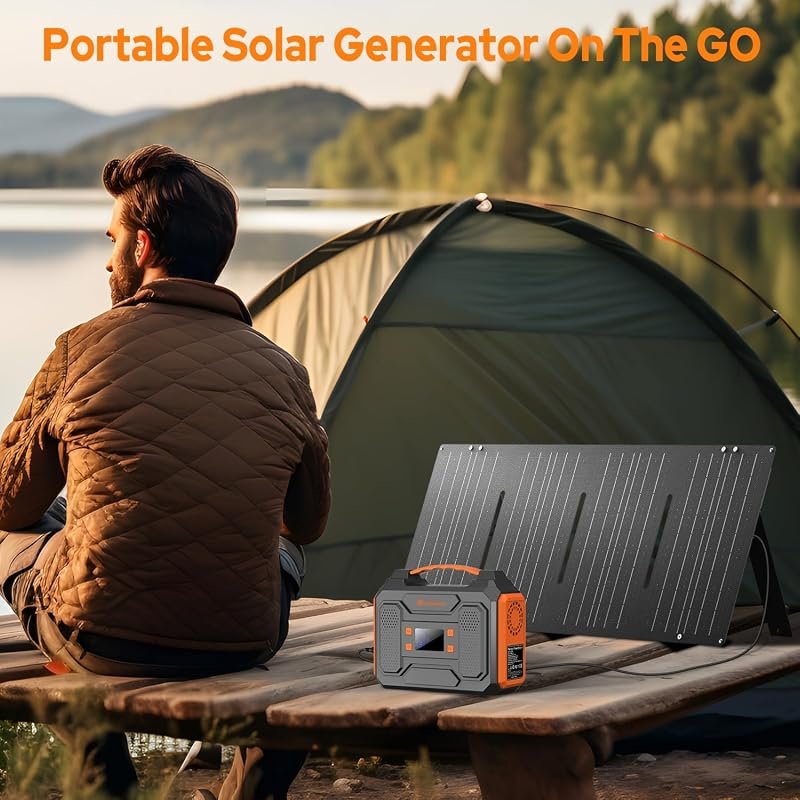 Portable 300W