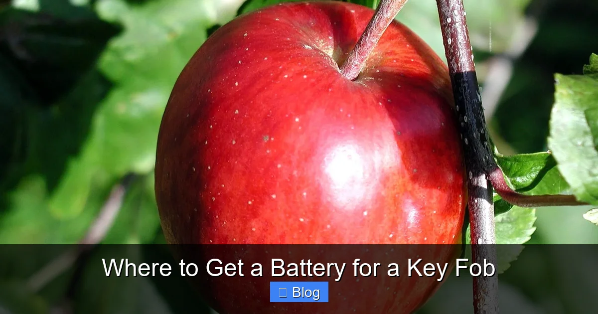 Where to Get a Battery for a Key Fob