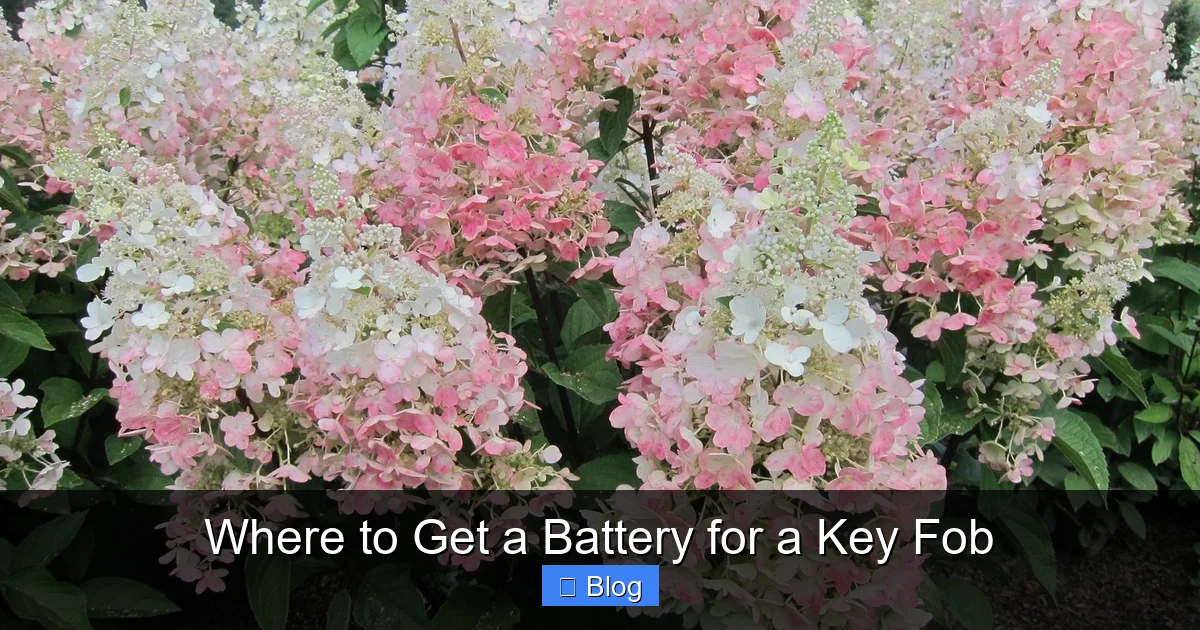 Where to Get a Battery for a Key Fob