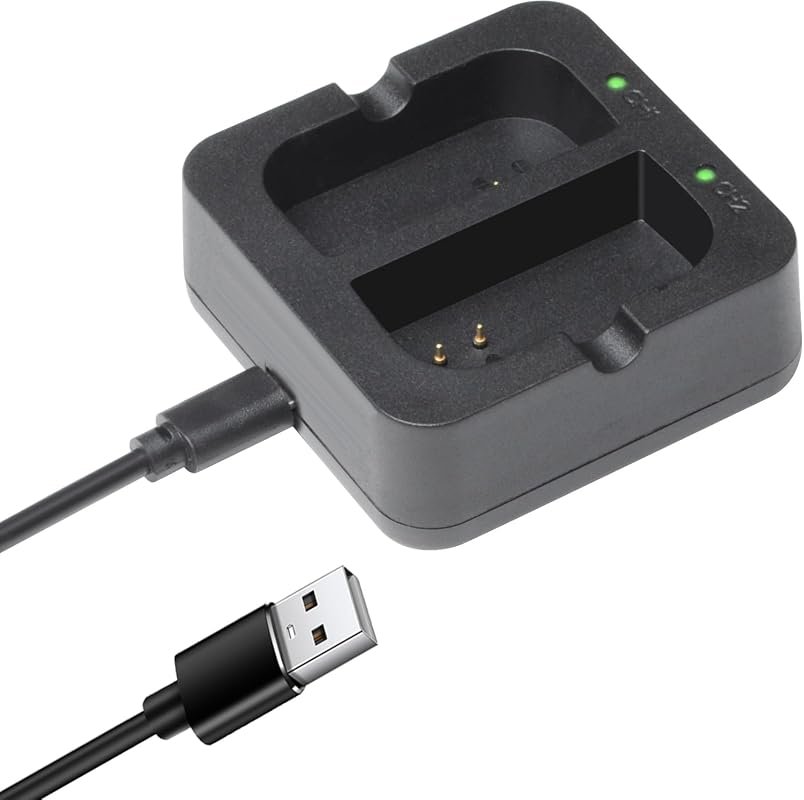 Dual Port Charging Station for Ring Rechargeable Battery, Spotlight Ca