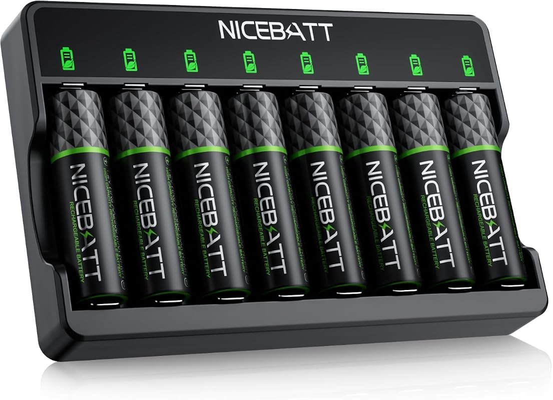 NICEBATT AA