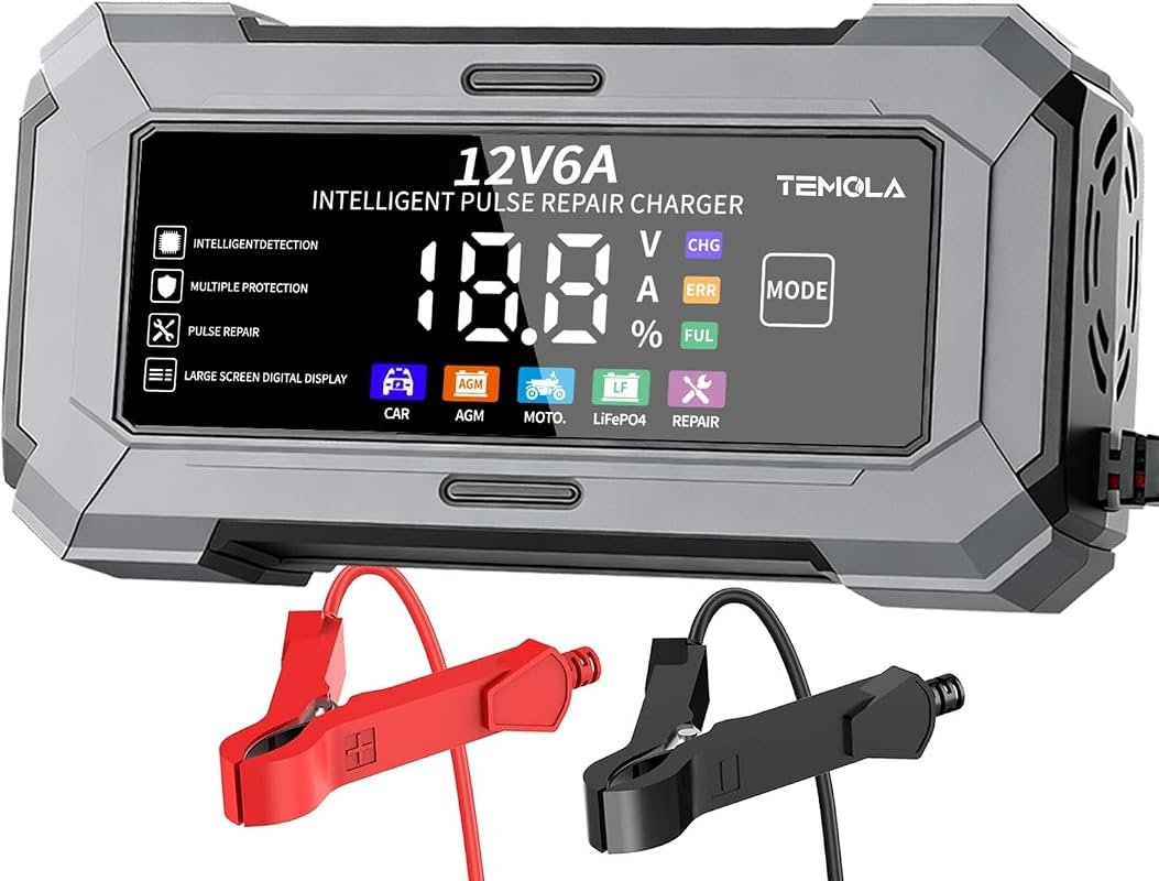 6A Charger