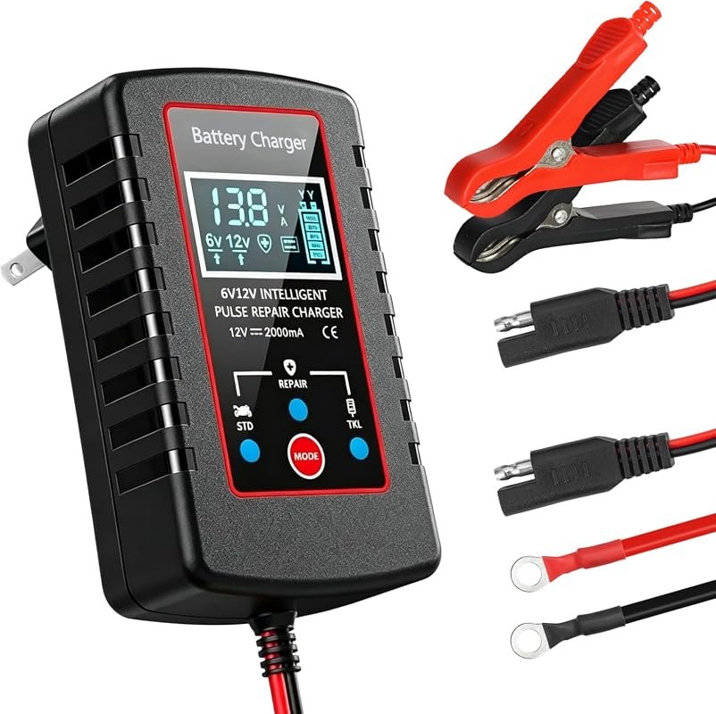 Smart 6V 12V Charger